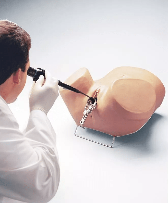 Hysteroskopie - Simulator - Erler - Zimmer